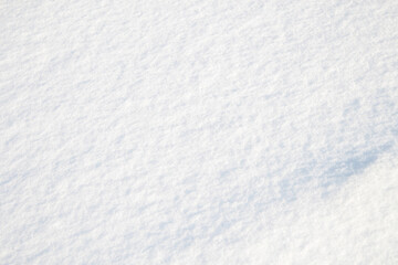 Bright pure snow under the winter sun.