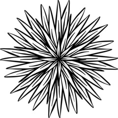 A Mandala Style Floral Vector Design in Black and White