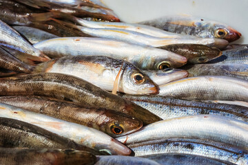 Nahaufnahme frisch gefangener Fische