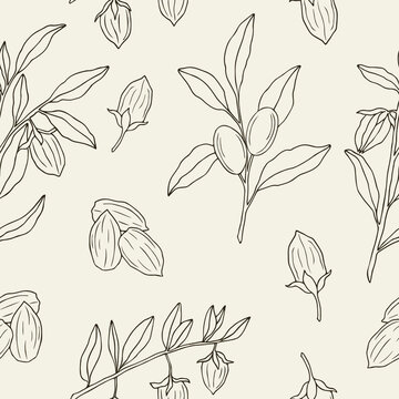 Hand drawn jojoba seamless pattern