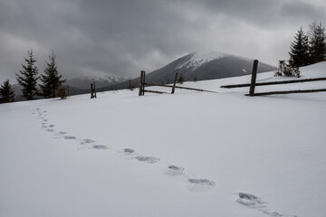 Winter gloomy mountain landscape. Gray sky and blizzard.