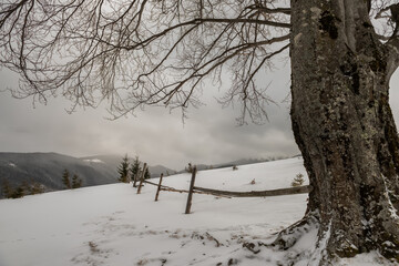 Winter gloomy mountain landscape. Gray sky and blizzard.