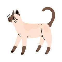 Siamese cute cat in flat cartoon style. Illustration isolated on white background.