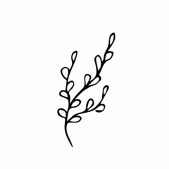 Hand drawn tree branches,vector doodle botanical element