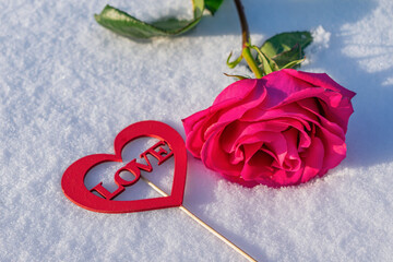 Delicate rosebud in the snow with a love message, symbolizing passionate love