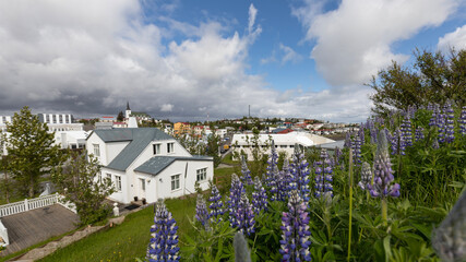 Ausblick auf Borgarnes in Island.