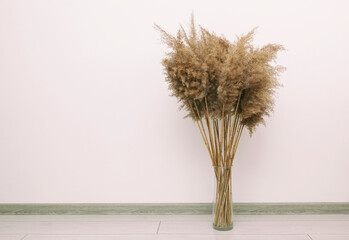 Dry pampas grass in pot on parquet floor in the room