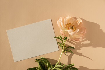 Blank paper card with copy space, peony flower with sunlight shadows on peach background. Top view,...