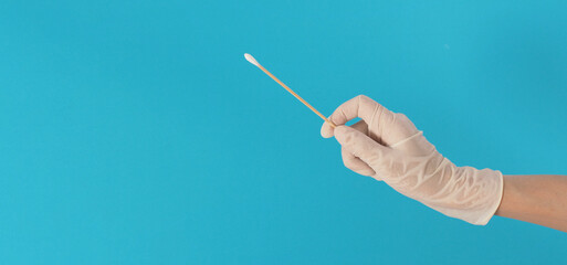 Cotton stick for swab test in hand with white medical gloves or latex glove on blue background.