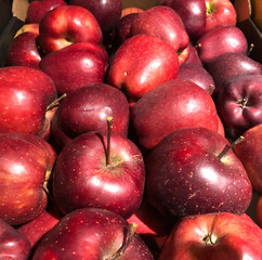 Fototapeta na wymiar Box of red apples