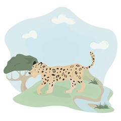 illustration of a leopard