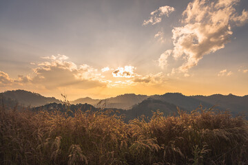 Scenic of sunset at the top of mountain among golden meadow, background for travelling