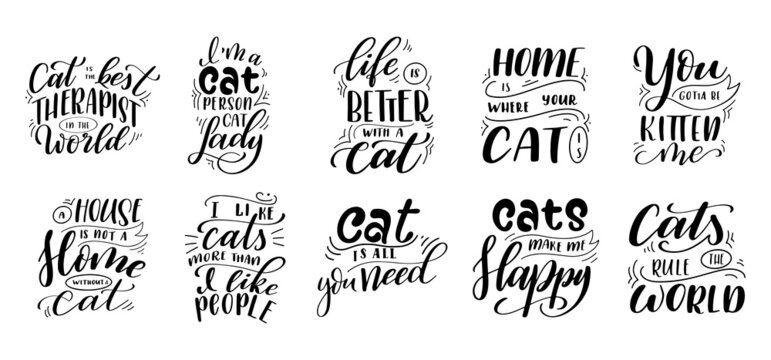 Bundle of Kitten lettering quotes for design. Pet phrase on white isolated background. Hand drawn brush ink vector calligraphy illustration