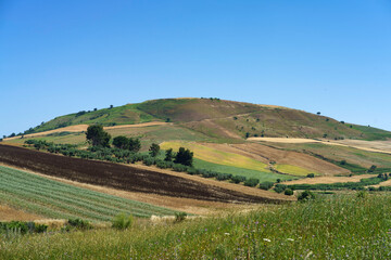 Fototapeta na wymiar Landscape along the road from Termoli to Serracapriola, Southern Italy