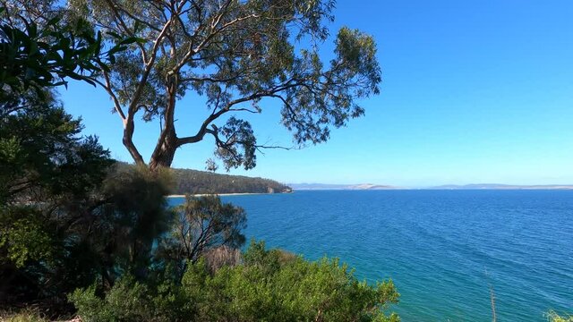 beautiful scenary of the Pacific Ocean and thick native vegetation shot from a vantage point during a hike in Southern Tasmania