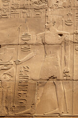 Ancient stone carved Egyptian hieroglyphics in Karnak temple, Luxor, Egypt
