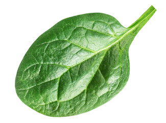 Fototapeta na wymiar Spinach leaves isolated on white background. Spinach salad Closeup. Top view. Flat lay..
