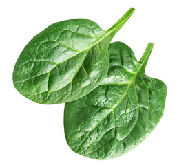 Spinach leaves isolated on white background. Various Spinach Closeup. Top view. Flat lay..