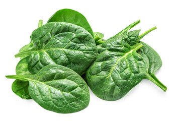 Spinach leaves isolated on white background. Various Spinach Closeup. Top view. Flat lay..