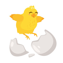 yellow chick breaks free of the shell