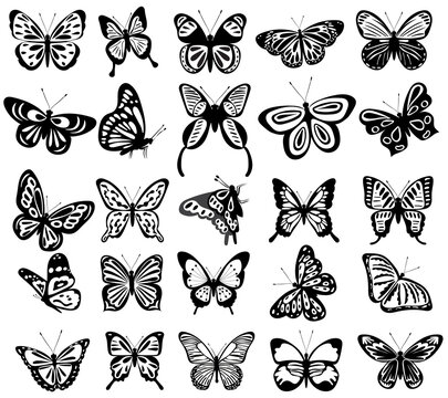 collection of butterflies set silhouette, on white background, vector, isolated