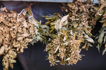Bunches of dry medicinal plants. Bay leaves, lemongrass are dried
