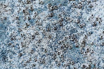 Erosion of the hull of a yacht close-up. Marine microorganisms on the hull of the yacht.