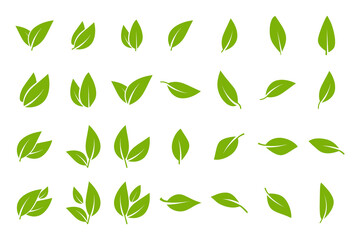Obraz na płótnie Canvas Leaves icon set. Set of green leaf for eco and bio logos.