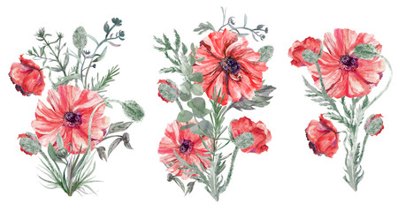 Set of watercolor bouquets of red poppies with herbs drawn in vintage style isolated on white background for postcards and various designs