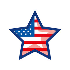 usa flag in star