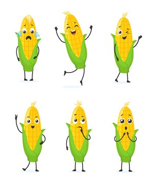 Maize emoji. Cartoon cute corn character, funny corncob emoticons collection sad smile cheerful love surprised sweetcorn, health vegetable food cob plants, neat vector illustration