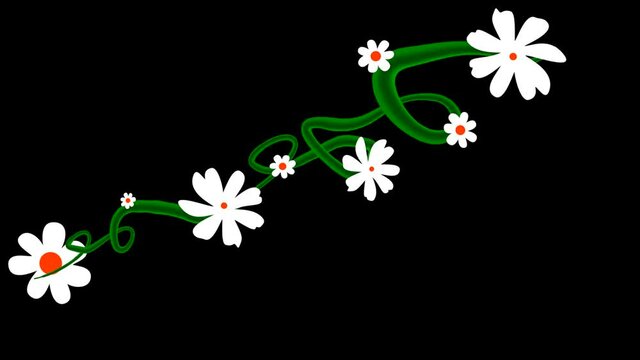 A cartoon vector of a vine growing with beautiful white flowers. Already been keyed so easy to add to your projects