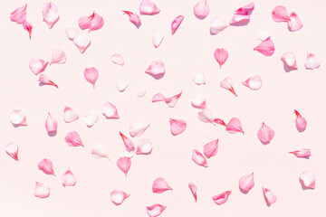 Delicate pink solid background with geranium petals - obrazy, fototapety, plakaty