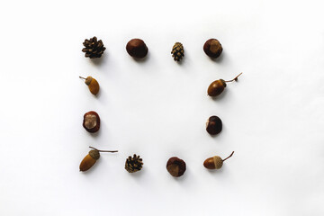 Autumn composition with a square of various acorns, chestnuts and fir cones with space for text inside on a white background, top view
