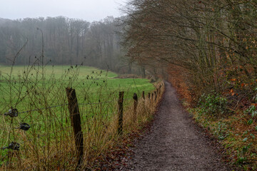 Schöne Landschaft mit Wanderweg im Neandertal 