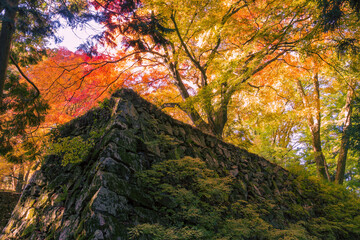 高取城の石垣と紅葉　4
