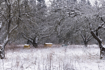 Bee hives in winter, covered in snow