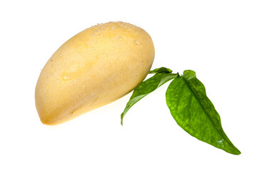 Yellow mango fruit on white background.