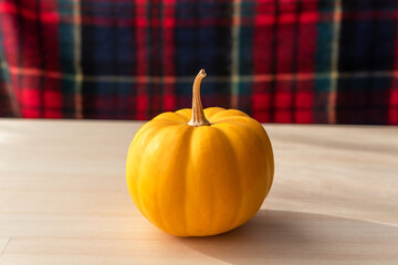 黄色いかぼちゃ　背景に赤いチェックの毛布	