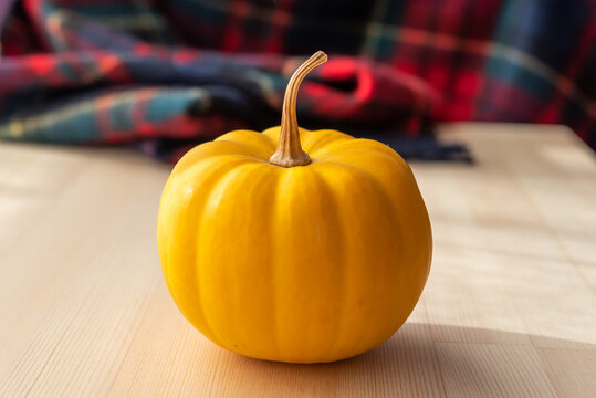 黄色いかぼちゃ　背景に赤いチェックの毛布
