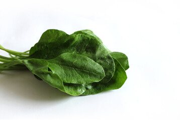 Green Fresh Spinach Vegetable Indoor Photography