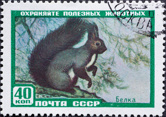 Soviet Union, USSR - circa 1959 : a postage stamp from Soviet Union, USSR, showing a Eurasian Red...