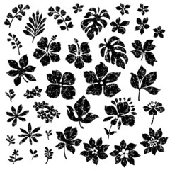 Illustration material collection of tropical plants,