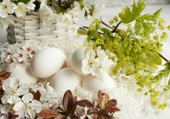 Eggs and white flowers of cherry and plum fruit trees on a light background. spring easter still life 