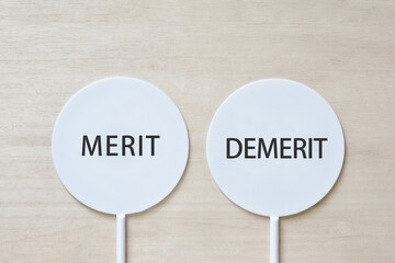 Merit  　Demerit - 482390997