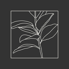 Minimalist botanical line art compositions with leaves abstract collage