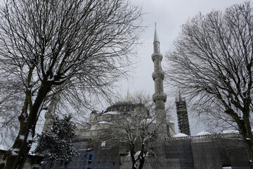 Trees are seen covered in snow backgrounded by the minaret of Blue Mosque during a winter morning in Istanbul, Turkey.