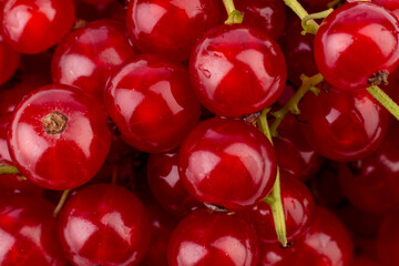 Ripe and juice red currant background. Sweet berries background.