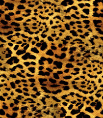 Leopard skin pattern jaguar design seamless for print