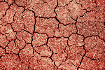Full Frame Shot Of Cracked Land. Desert. Dry cracked earth texture
